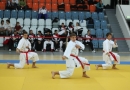 Центральная Школа Каратэ - Central Karate School